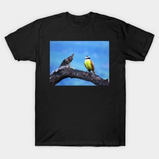 Kiskadee With Yellow Chest Photography T-Shirt